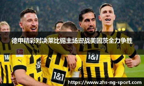 NG体育官网