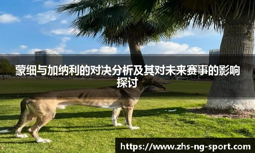 NG体育官网
